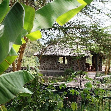 Kiboko Lodge Usa River Exteriör bild
