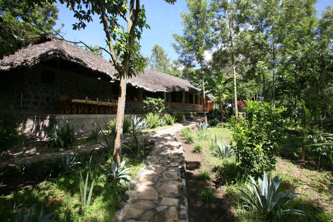 Kiboko Lodge Usa River Rum bild