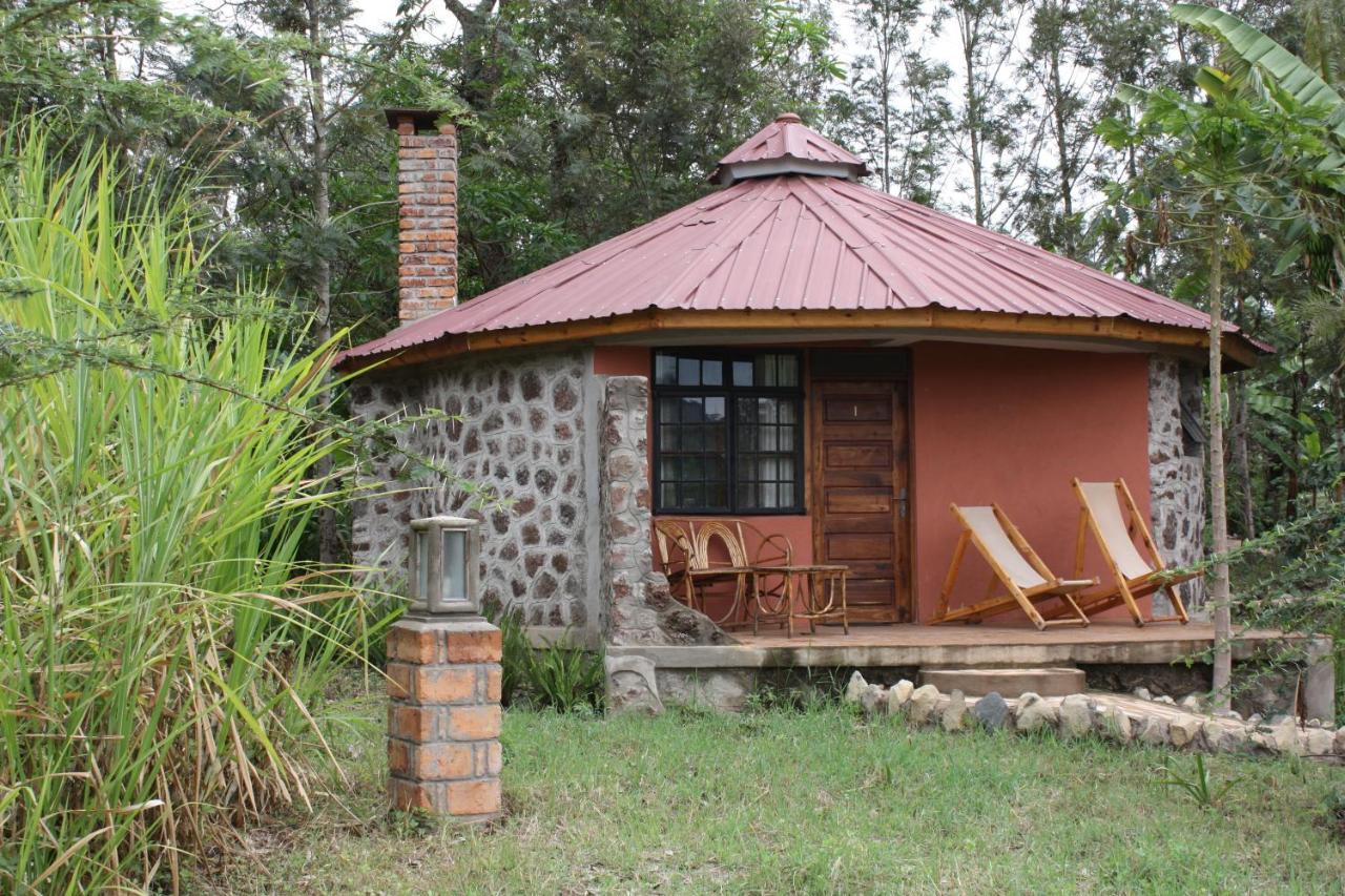 Kiboko Lodge Usa River Rum bild