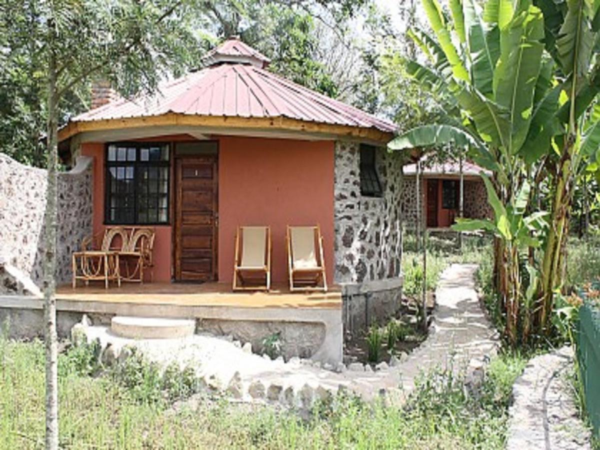 Kiboko Lodge Usa River Rum bild