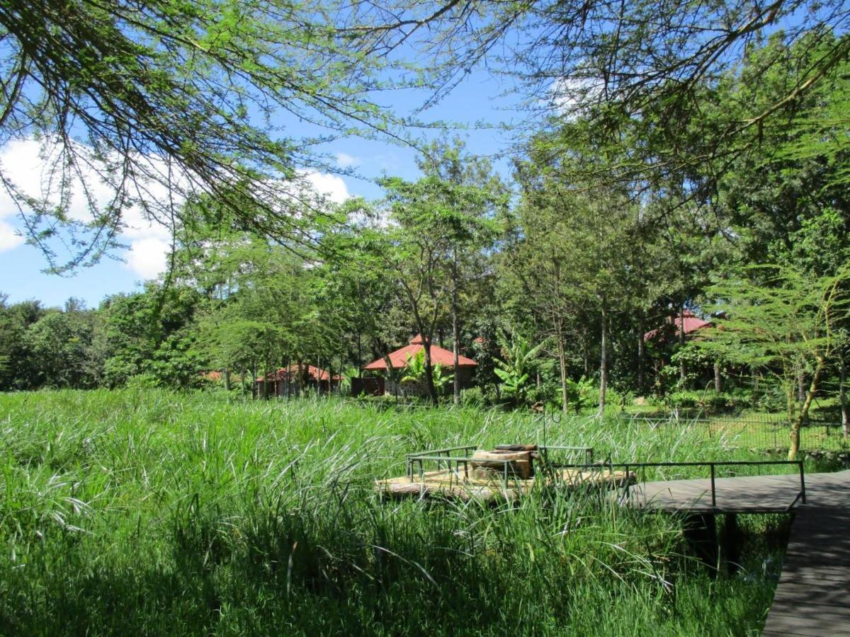 Kiboko Lodge Usa River Exteriör bild